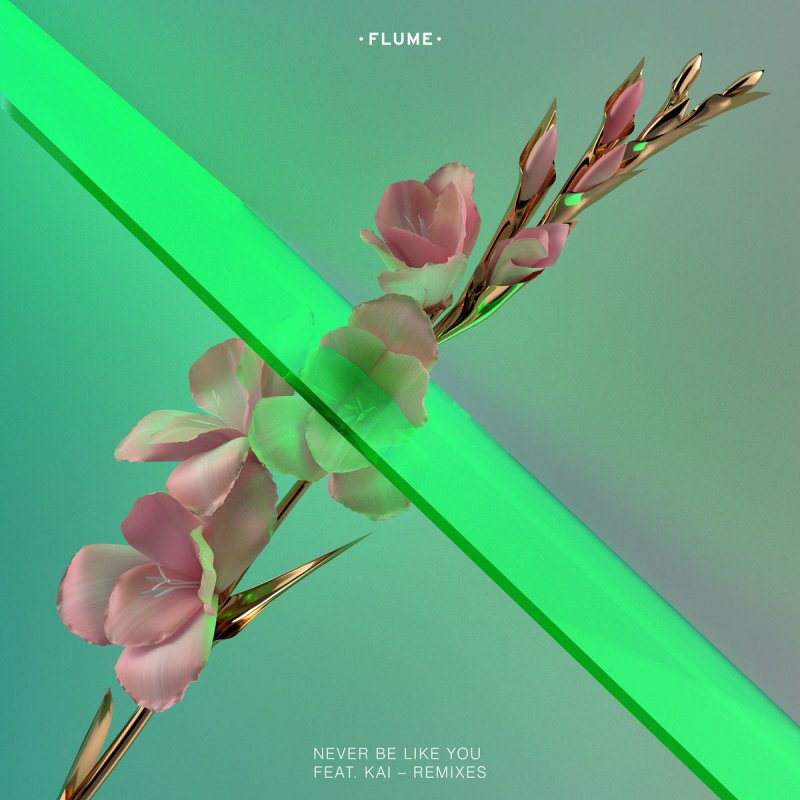 flume never be like you lyrics